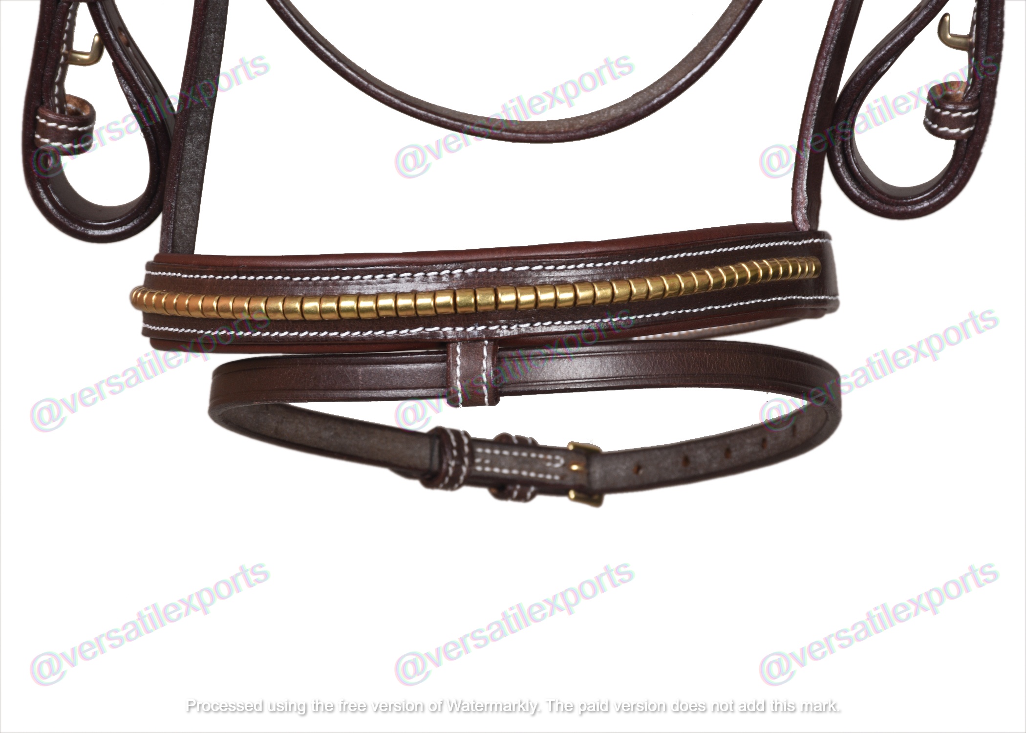 Bridle with Clinches